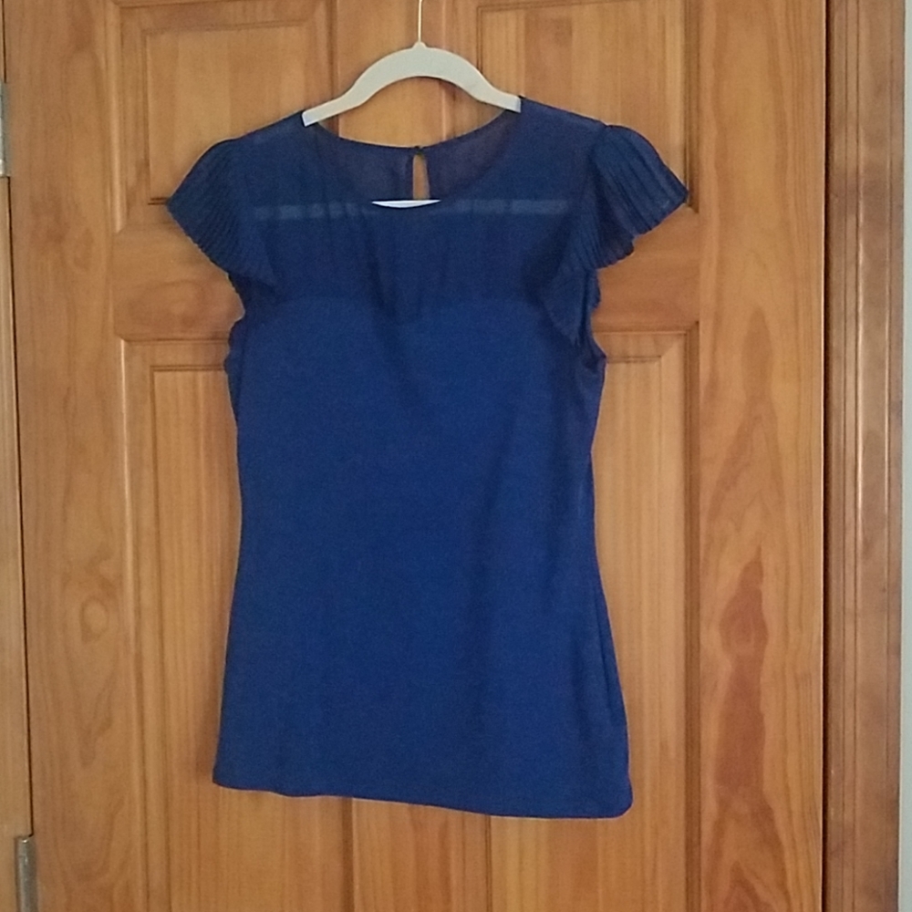 Express Navy Sheer Pleated Blouse